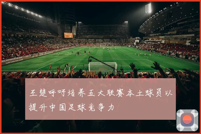 王楚呼吁培养五大联赛本土球员以提升中国足球竞争力